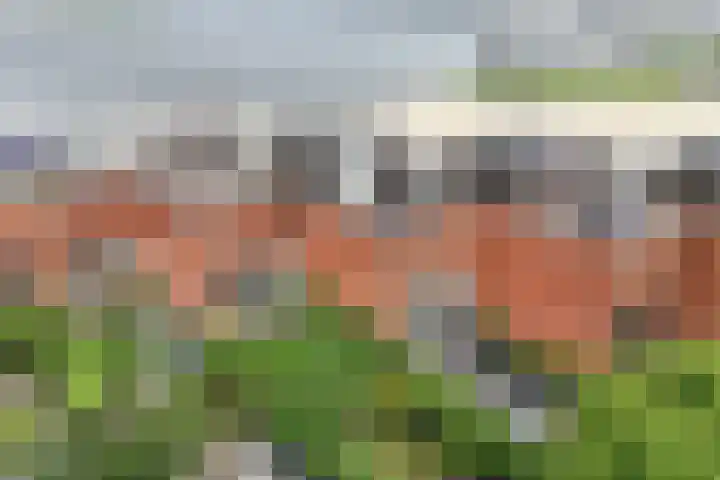 Harderwijkerzand 14 Huizen thumbnail 33