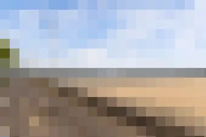 Harderwijkerzand 14 Huizen thumbnail 34