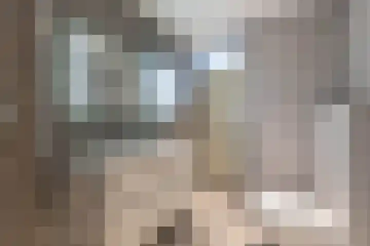 Harderwijkerzand 14 Huizen thumbnail 41