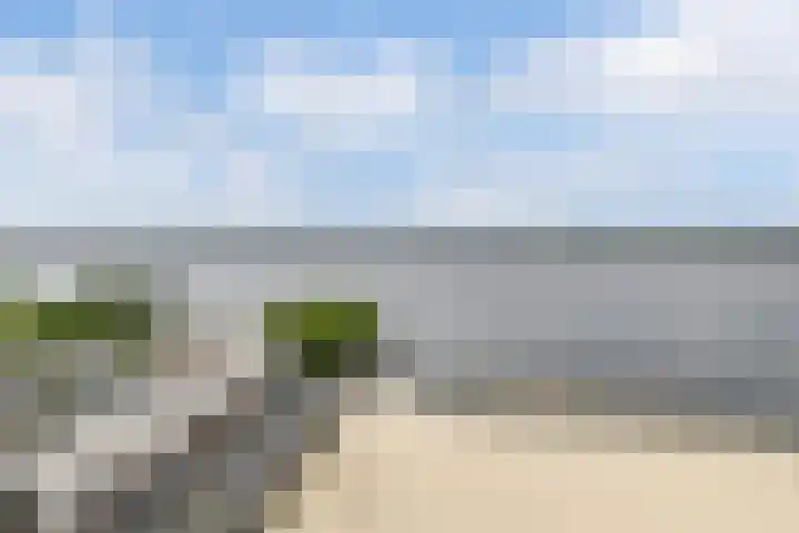 Harderwijkerzand 14 Huizen thumbnail 49