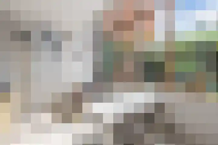 Harderwijkerzand 14 Huizen thumbnail 8