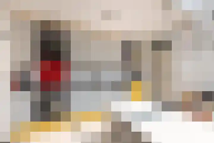 Harderwijkerzand 14 Huizen thumbnail 9