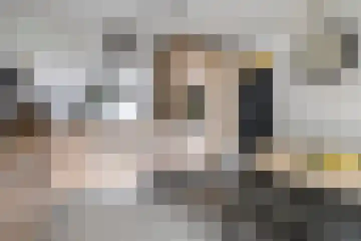 Harderwijkerzand 18 Huizen thumbnail 12