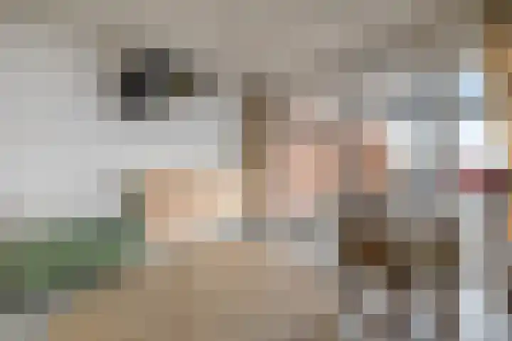 Harderwijkerzand 18 Huizen thumbnail 13
