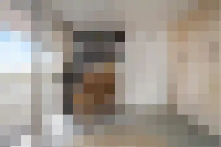 Harderwijkerzand 18 Huizen thumbnail 14
