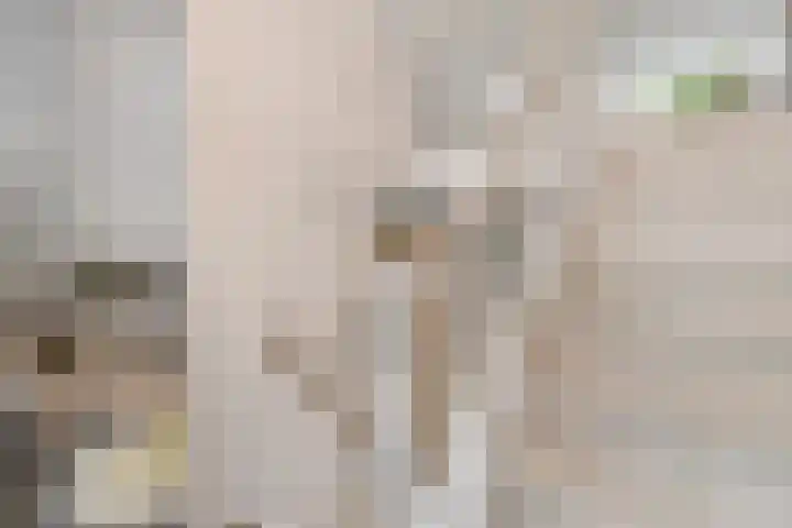 Harderwijkerzand 18 Huizen thumbnail 15