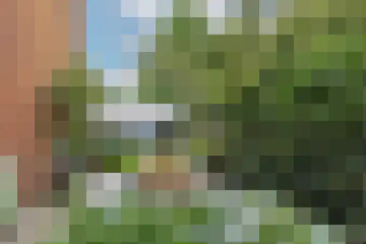 Harderwijkerzand 18 Huizen thumbnail 25