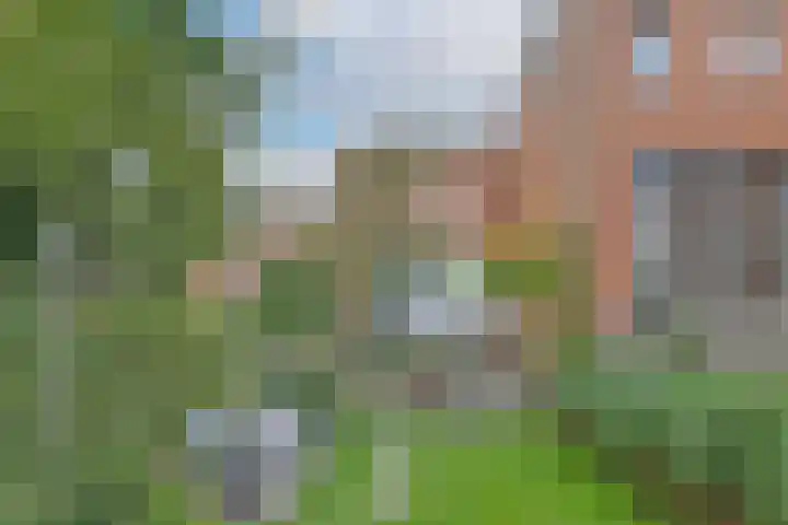 Harderwijkerzand 18 Huizen thumbnail 30
