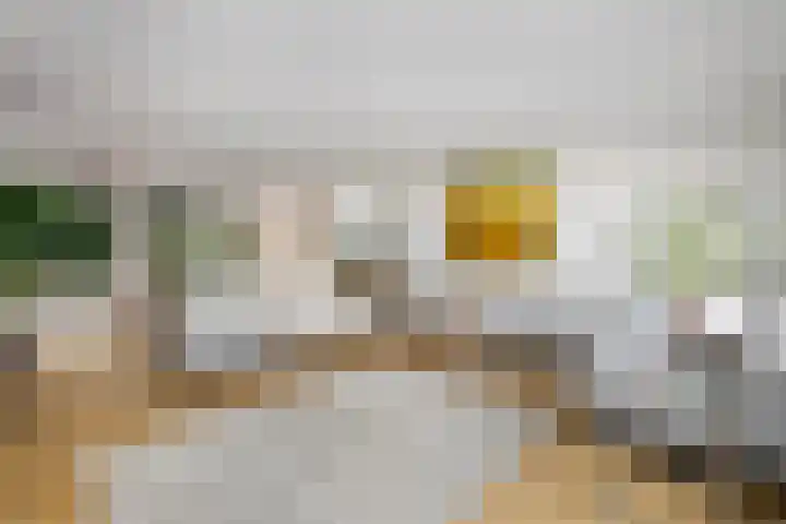 Harderwijkerzand 18 Huizen thumbnail 5