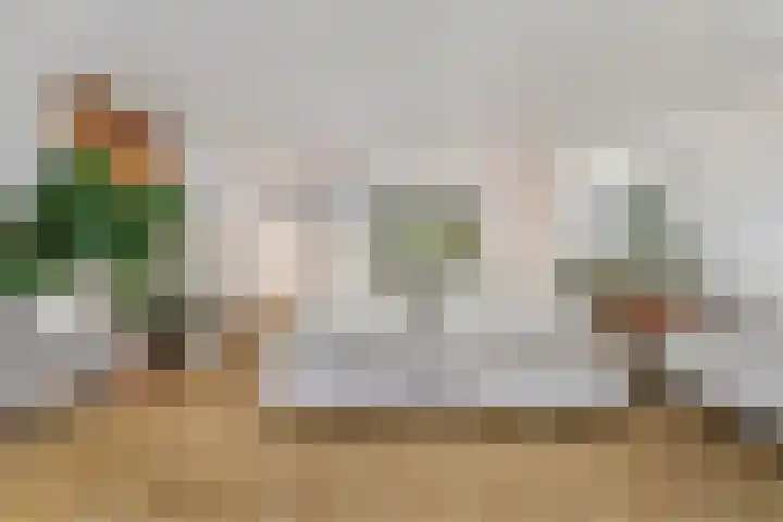 Harderwijkerzand 18 Huizen thumbnail 7