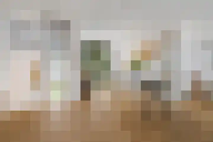 Harderwijkerzand 18 Huizen thumbnail 8