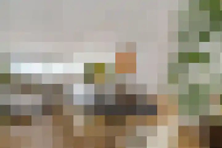Harderwijkerzand 18 Huizen thumbnail 9