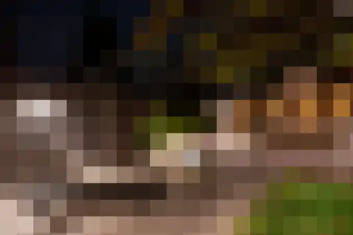 Harderwijkerzand 40 Huizen thumbnail 4