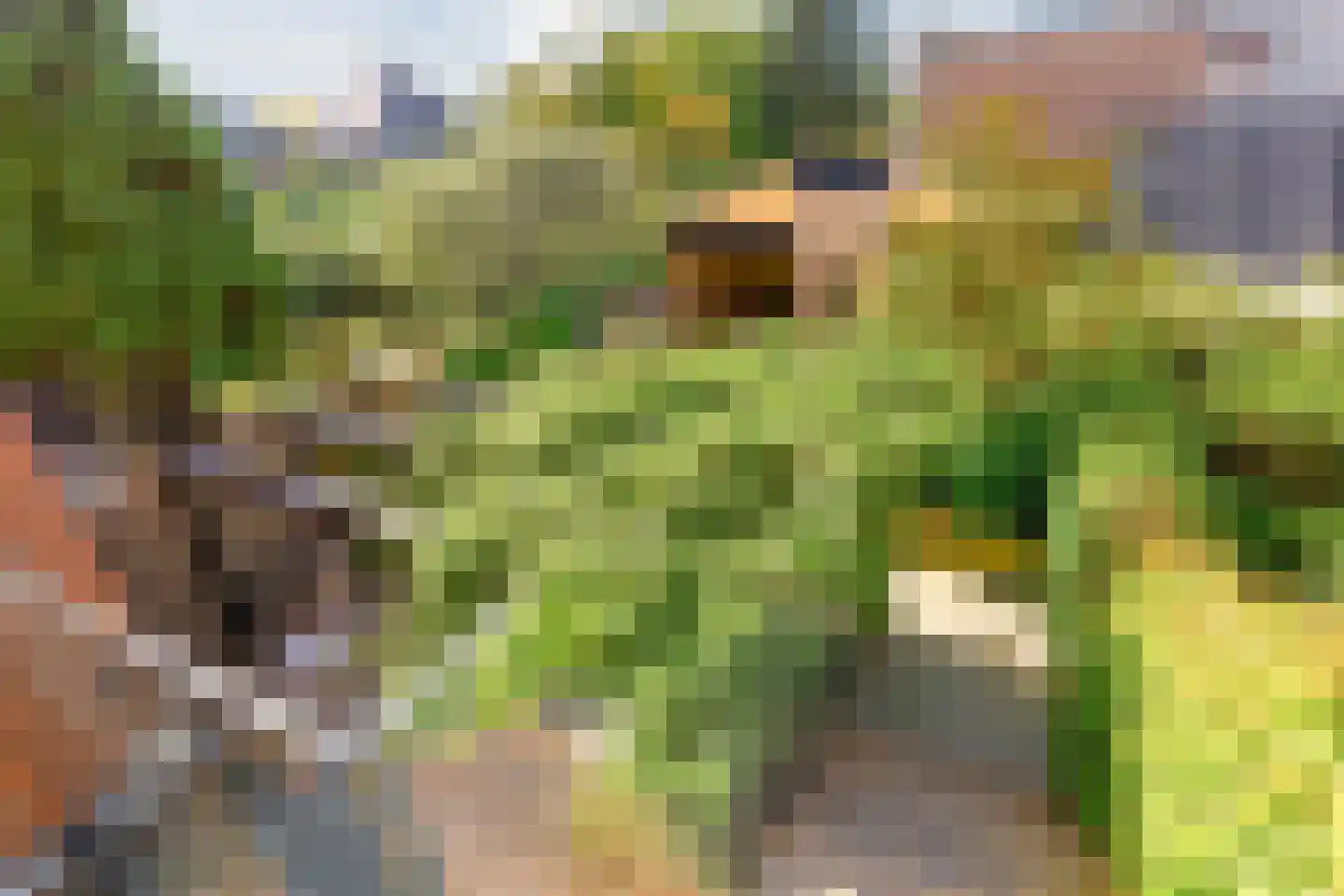Harderwijkerzand 40 Huizen thumbnail 43