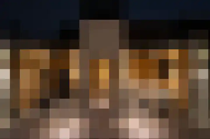 Harderwijkerzand 40 Huizen thumbnail 5