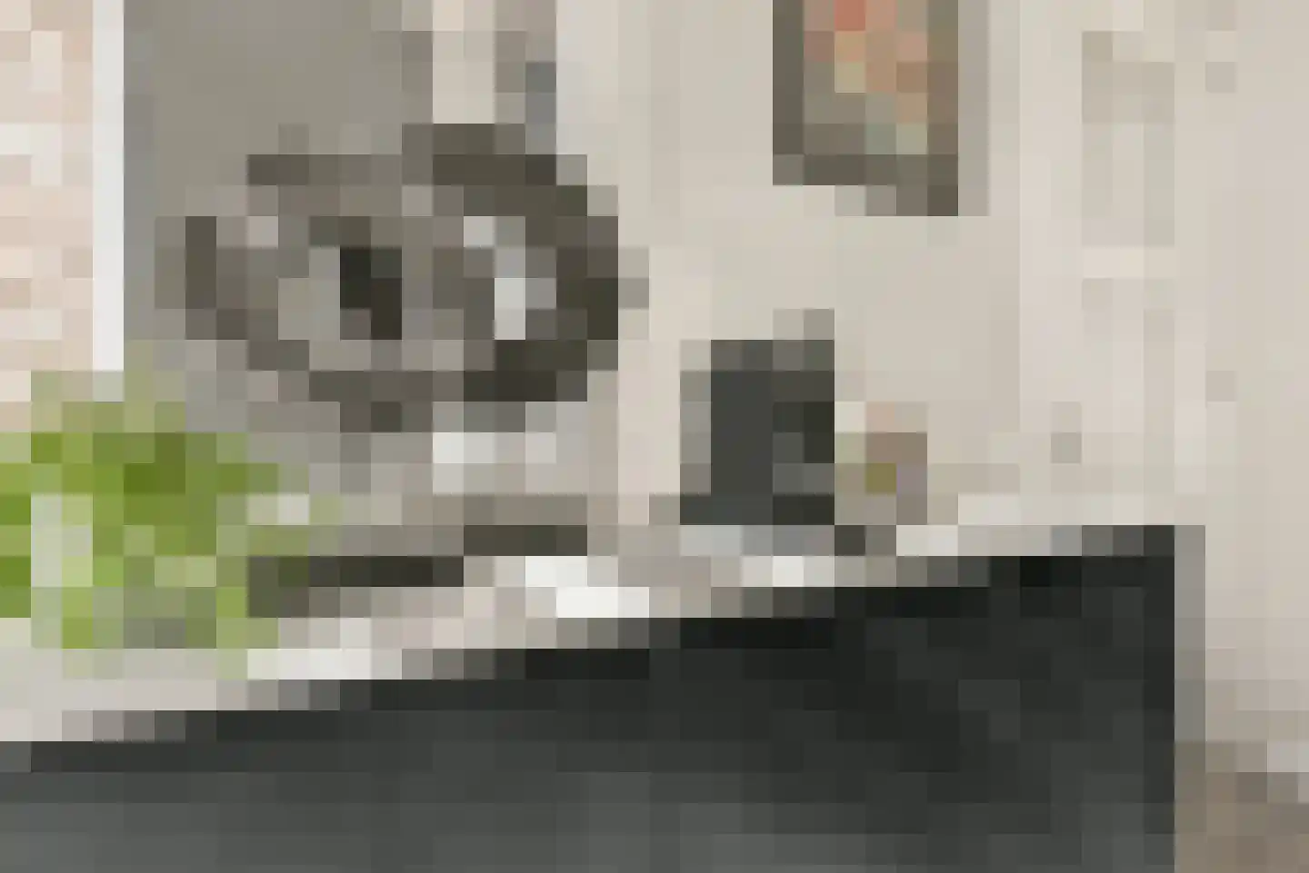 Harderwijkkade 16 Amersfoort thumbnail 5