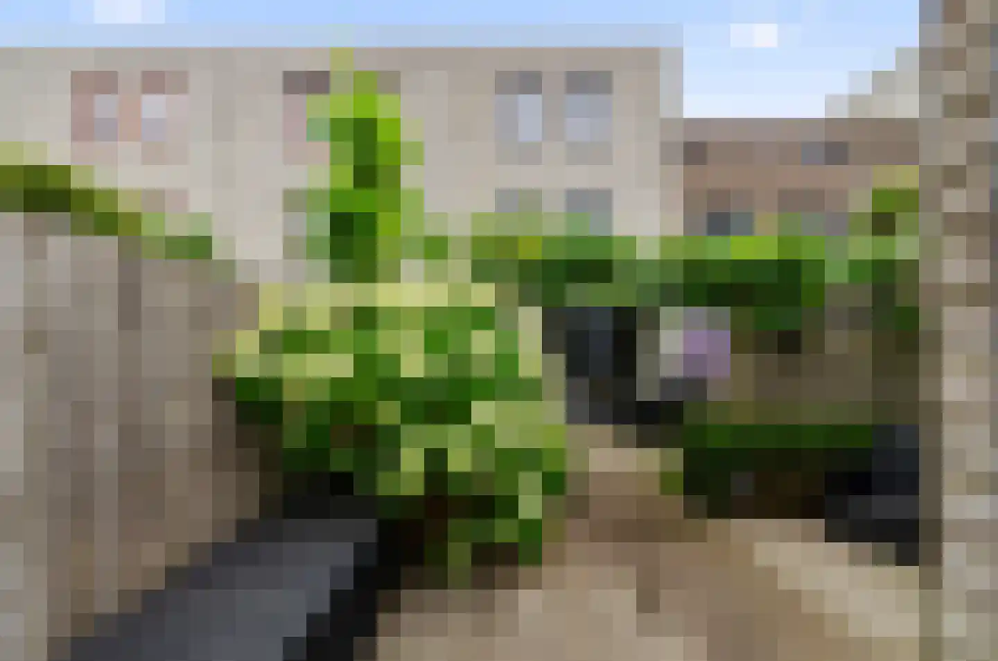 Harderwijkkade 34 Amersfoort thumbnail 66