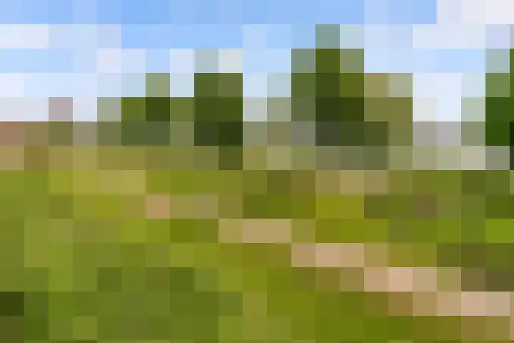 Harderwijkoever 108 Almere thumbnail 34