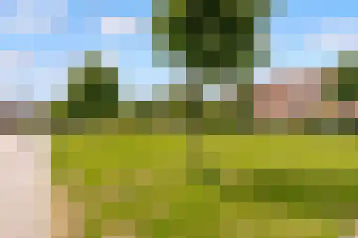 Harderwijkoever 108 Almere thumbnail 36