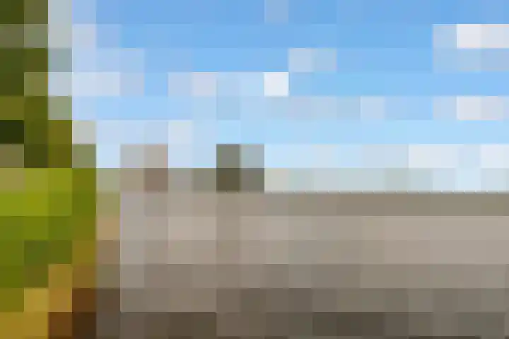 Harderwijkoever 108 Almere thumbnail 38
