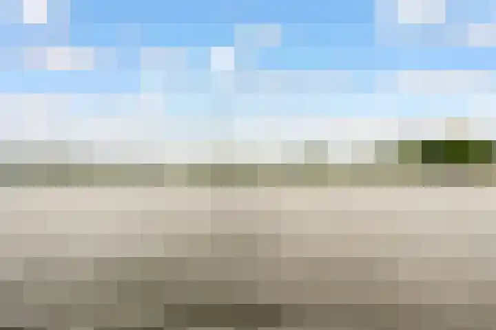 Harderwijkoever 108 Almere thumbnail 39