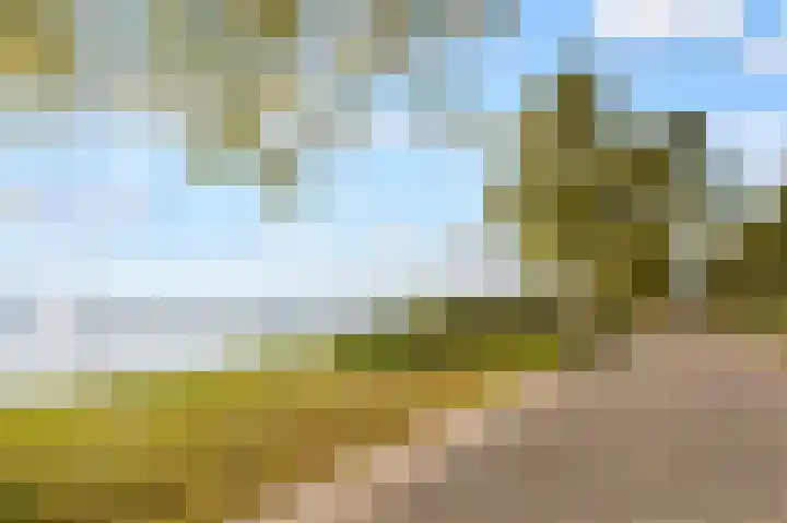 Harderwijkoever 117 Almere thumbnail 32