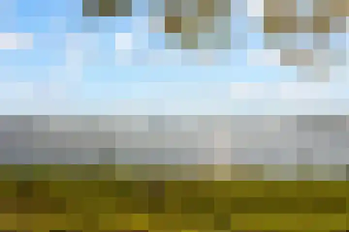Harderwijkoever 117 Almere thumbnail 33