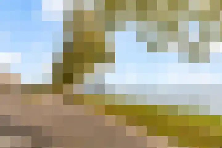 Harderwijkoever 117 Almere thumbnail 34