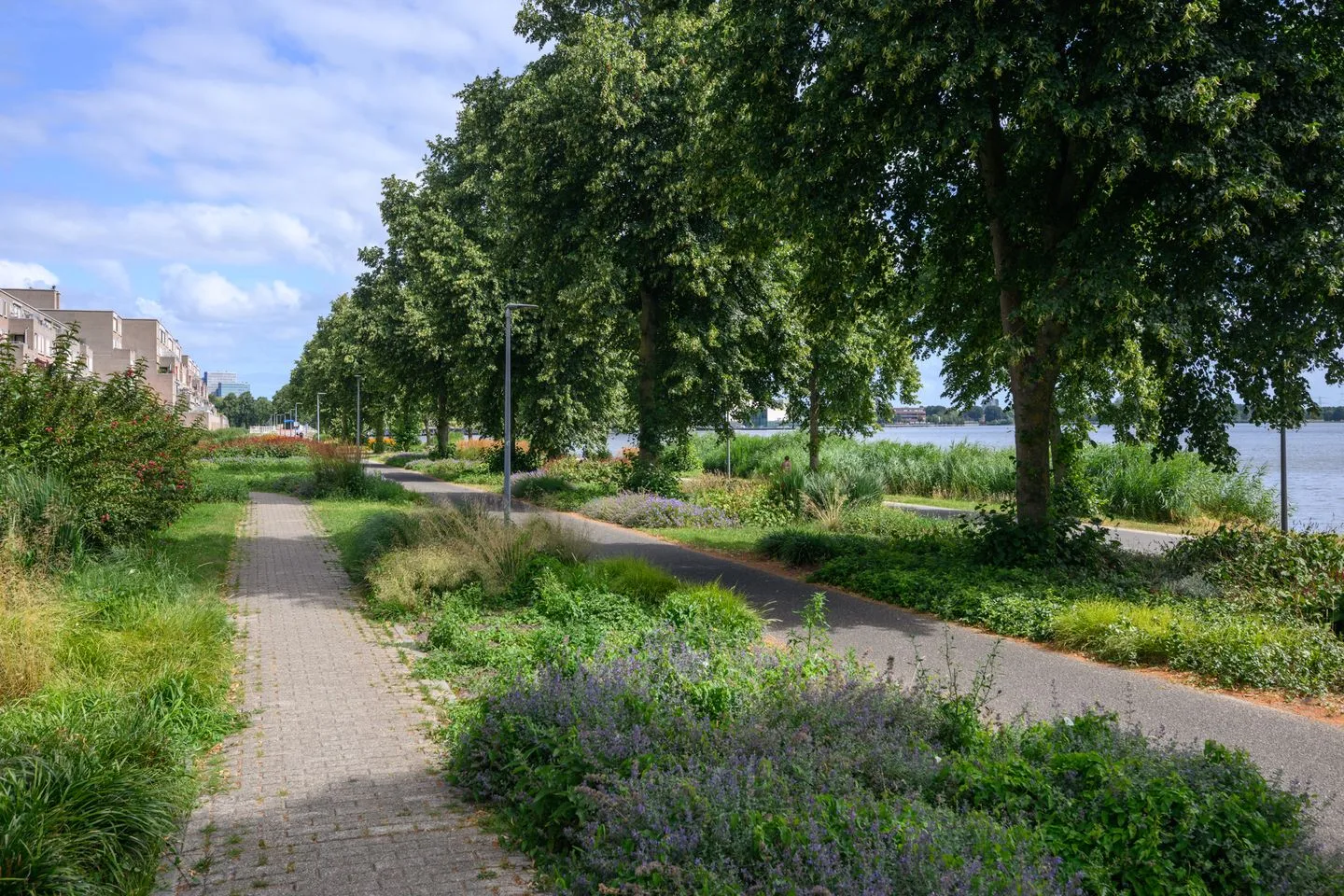 Harderwijkoever 14 Almere thumbnail 64
