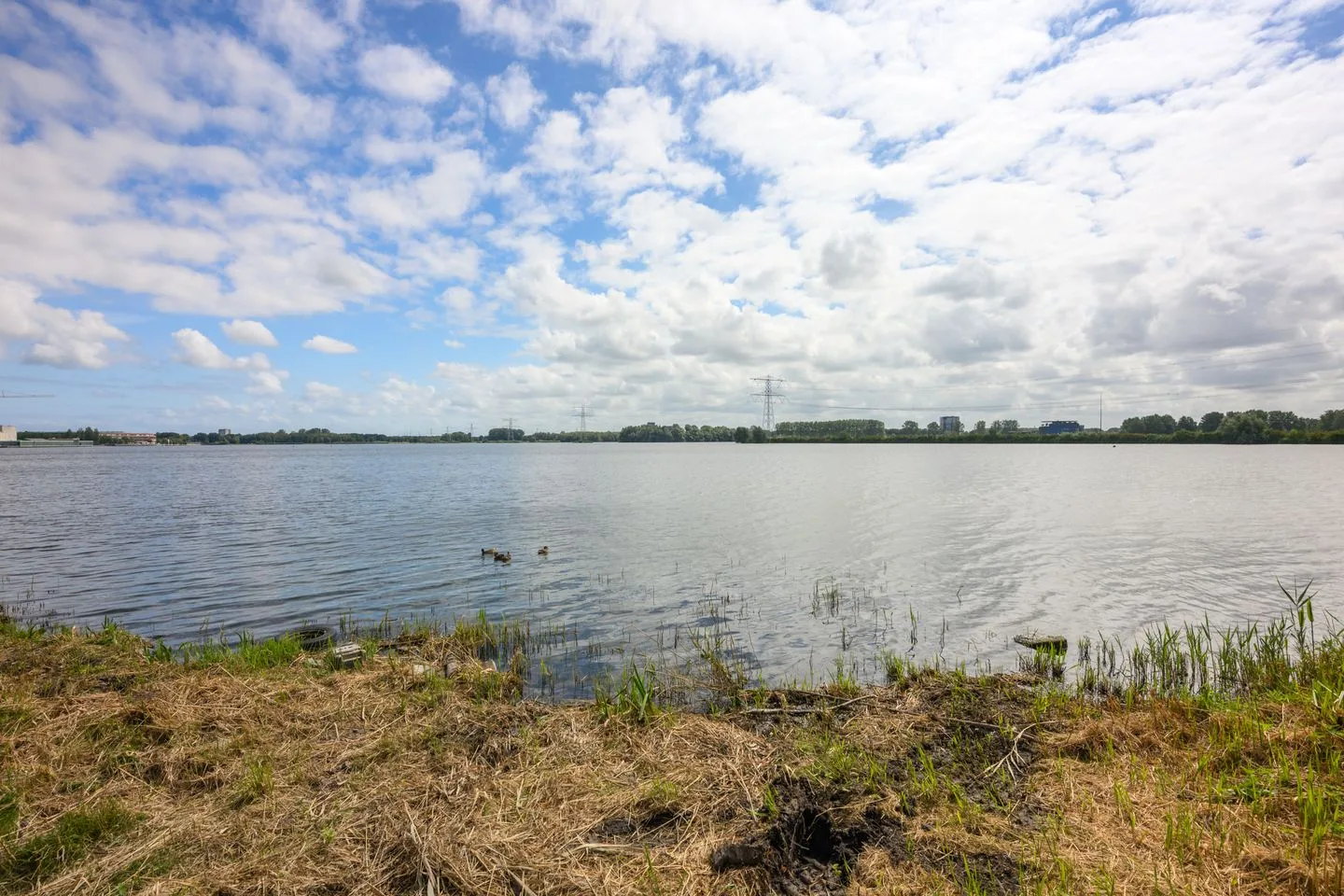 Harderwijkoever 14 Almere thumbnail 66