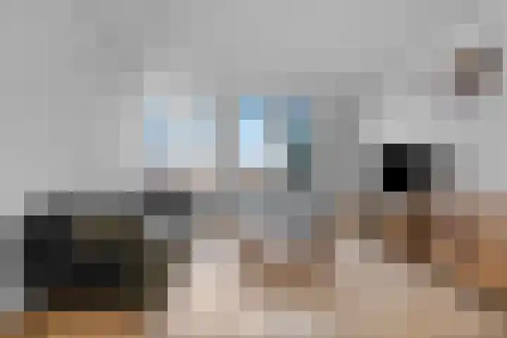Harderwijkoever 140 Almere thumbnail 8