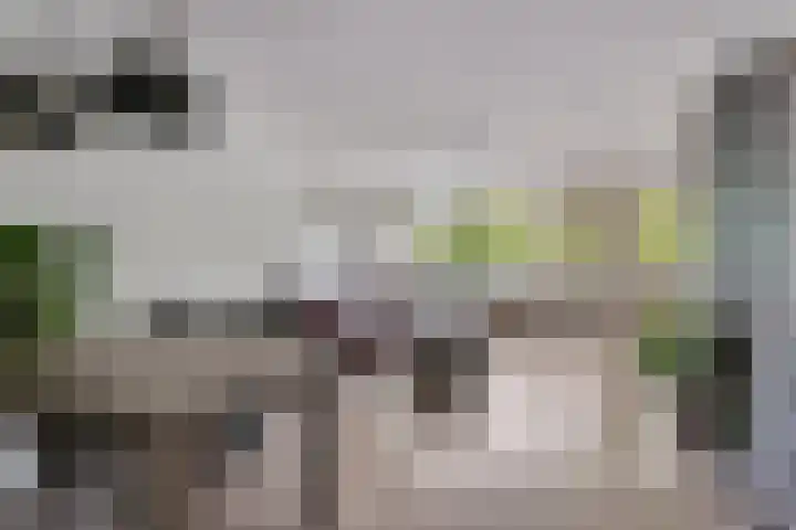 Harderwijkoever 28 Almere thumbnail 14