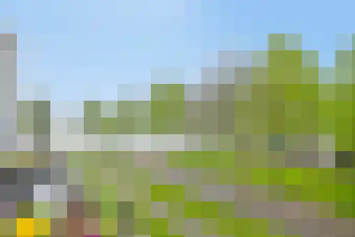Harderwijkoever 28 Almere thumbnail 18