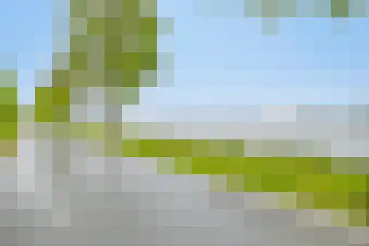 Harderwijkoever 28 Almere thumbnail 33