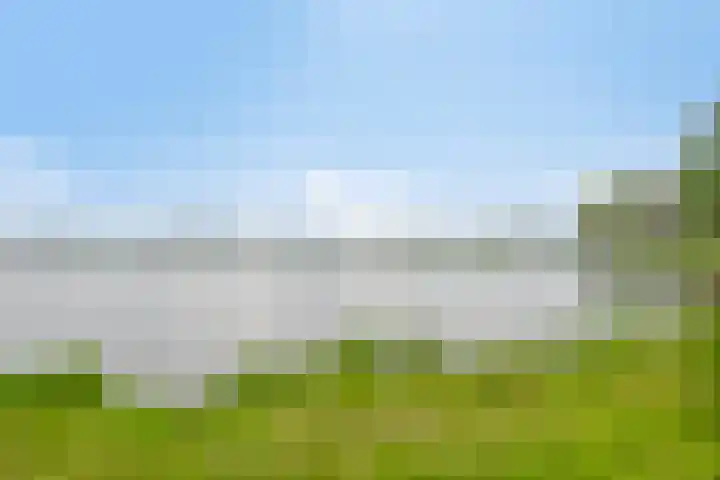 Harderwijkoever 28 Almere thumbnail 34