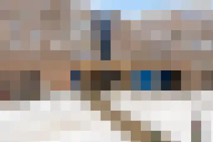 Harderwijkoever 29 Almere thumbnail 9