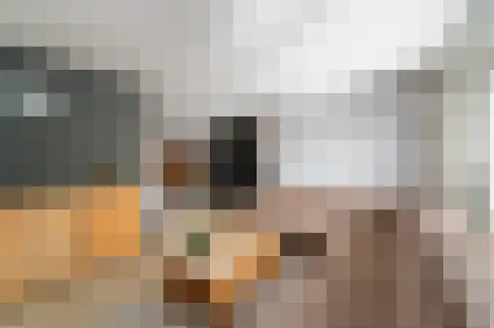 Harderwijkpad 7 Emmeloord thumbnail 13