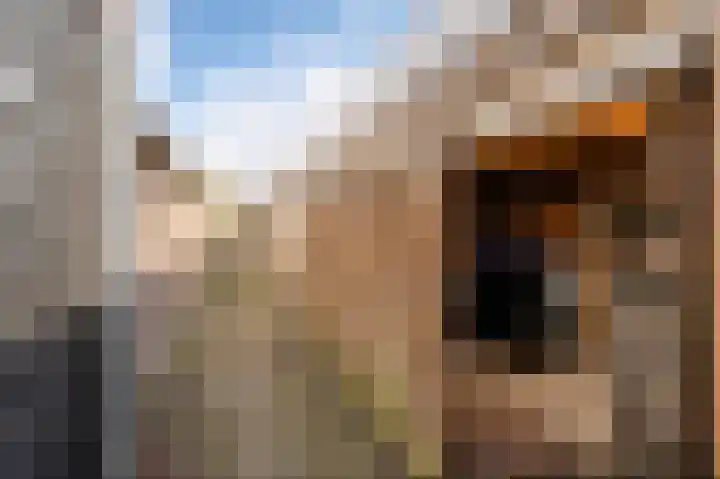 Harderwijkpad 7 Emmeloord thumbnail 21