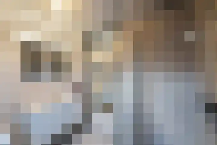 Harderwijkpad 7 Emmeloord thumbnail 36