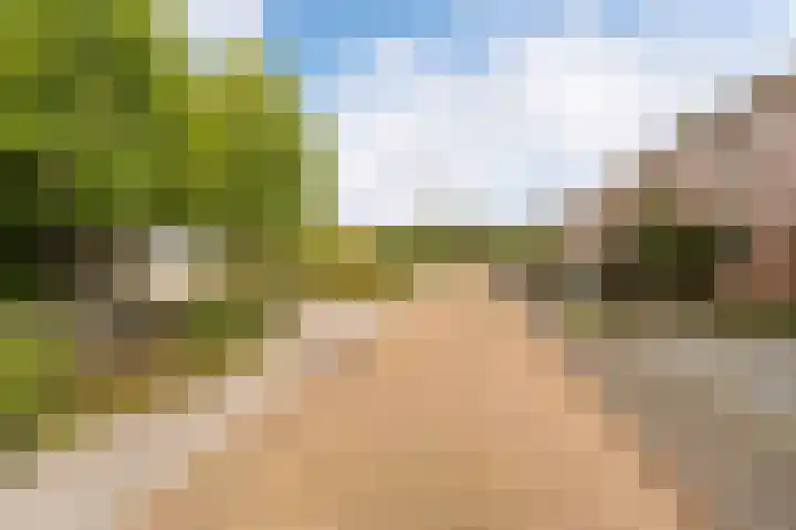 Harderwijkpad 7 Emmeloord thumbnail 6