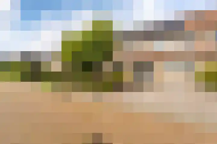 Harderwijkpad 7 Emmeloord thumbnail 7