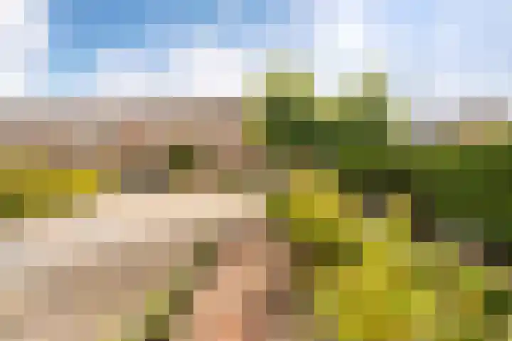 Harderwijkpad 7 Emmeloord thumbnail 8