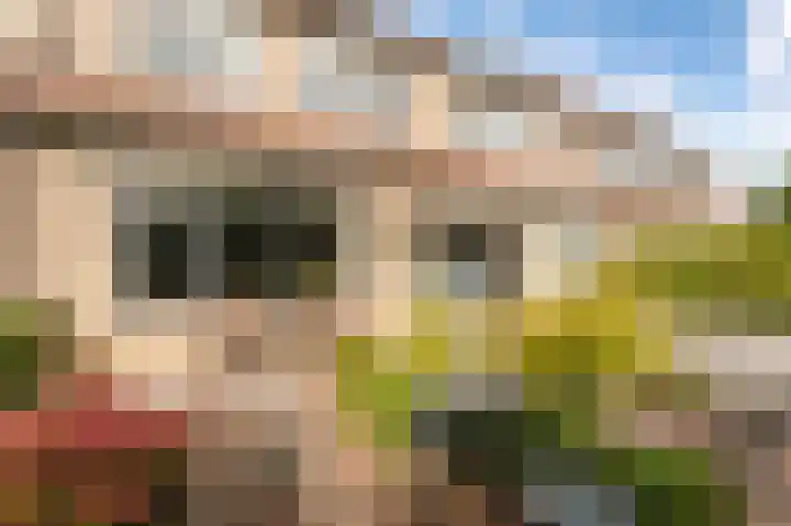 Harderwijkpad 7 Emmeloord thumbnail 9