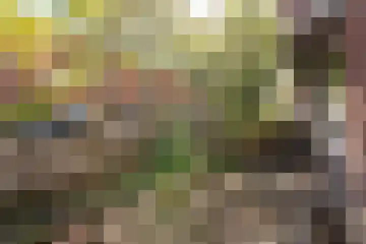 Harderwijkstraat 125 Den Haag thumbnail 21