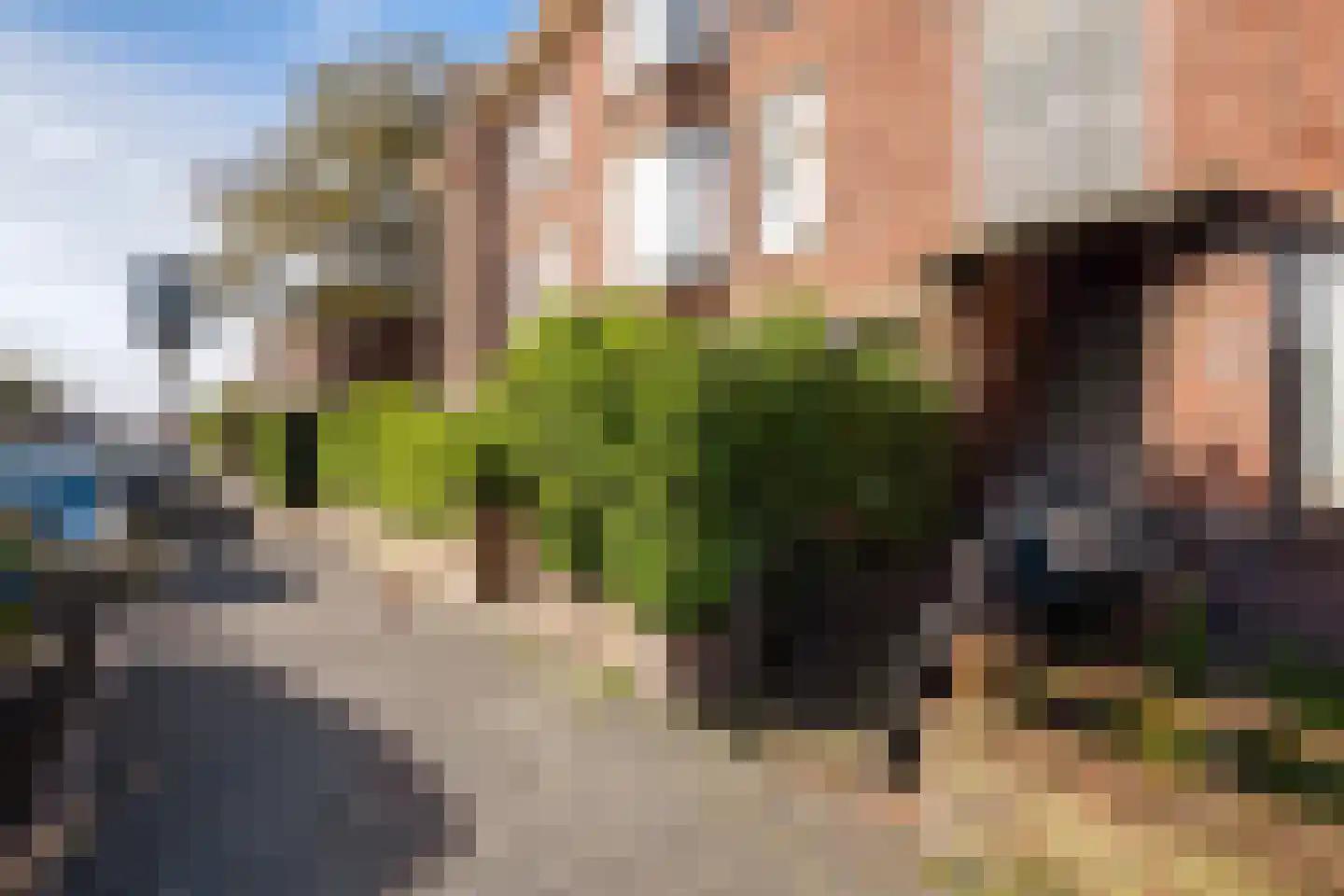 Harderwijkstraat 139 Den Haag thumbnail 4