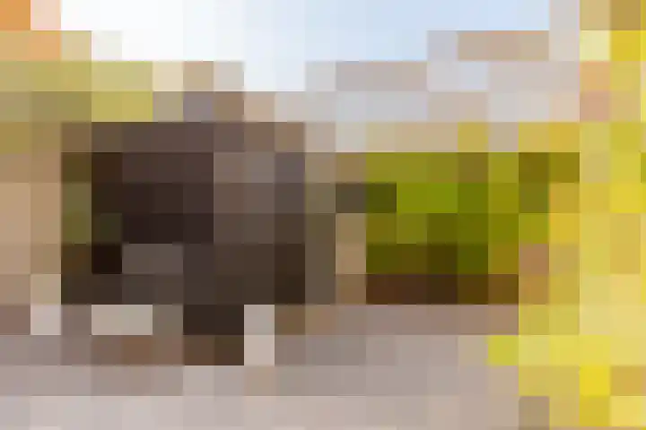 Harderwijkstraat 176 Lelystad thumbnail 33