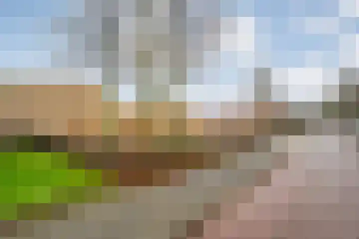 Hardesteinstraat 41 Zwolle thumbnail 16