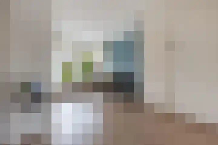 Hardewijk 8 Noordwolde thumbnail 13