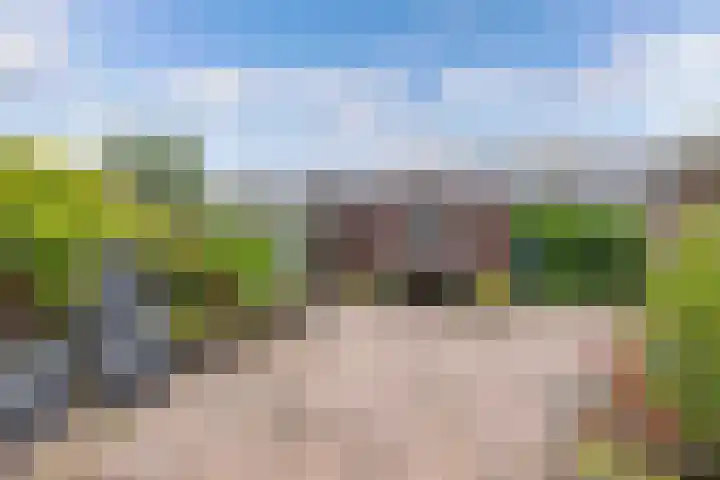 Hardewijk 8 Noordwolde thumbnail 44