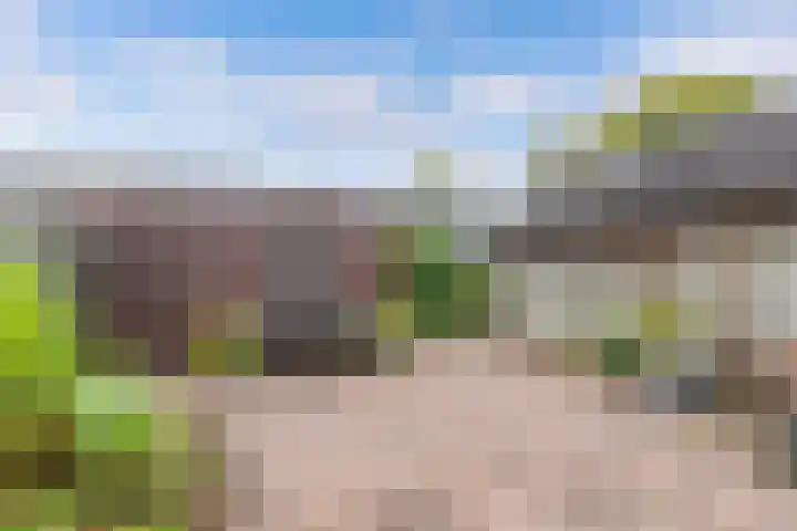 Hardewijk 8 Noordwolde thumbnail 45